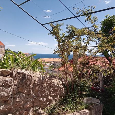 Summer Day Room دوبروفينك المظهر الخارجي الصورة