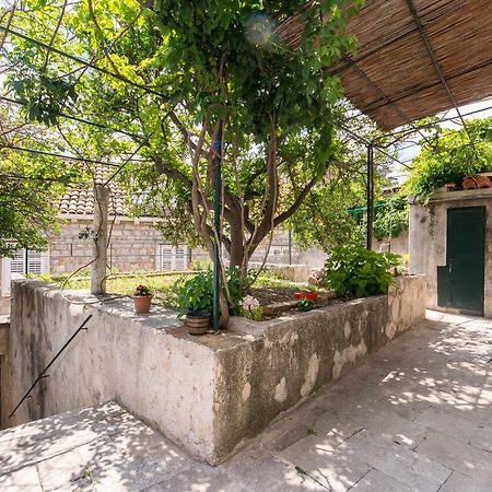 Summer Day Room دوبروفينك المظهر الخارجي الصورة