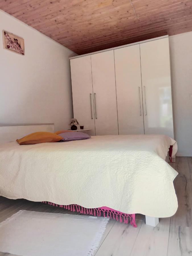 Summer Day Room دوبروفينك المظهر الخارجي الصورة